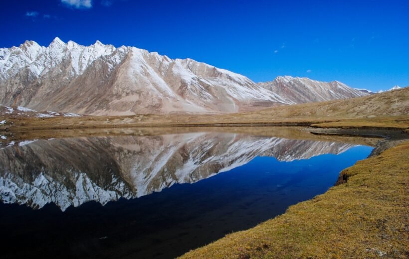 1_AY2swb_CjnotSu9CaDL26Q